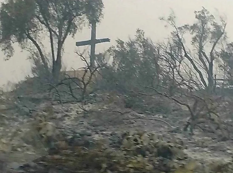 Ventura's Iconic Cross