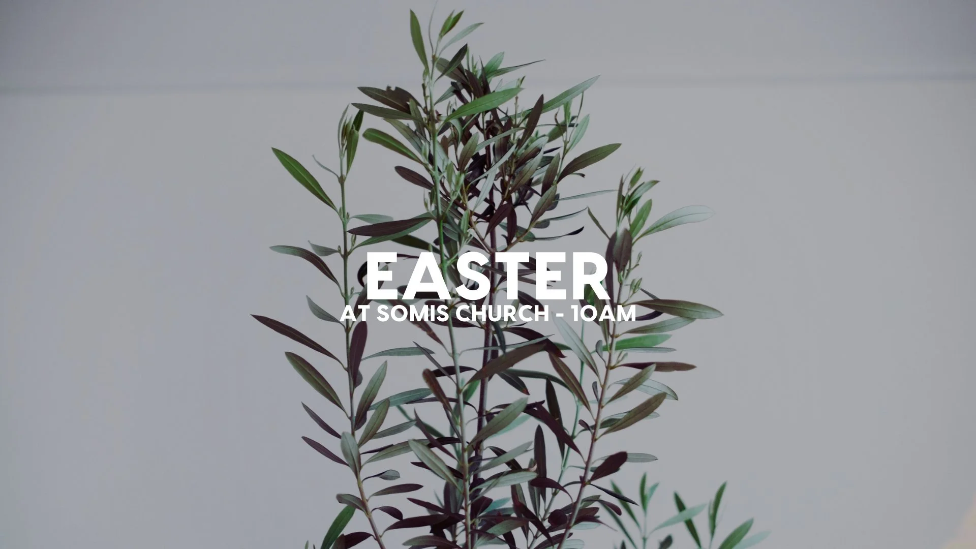 APRIL 5  1OAM (2).jpg