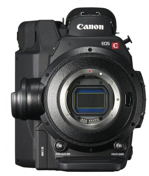 Canon-c300-1-510x600.jpg
