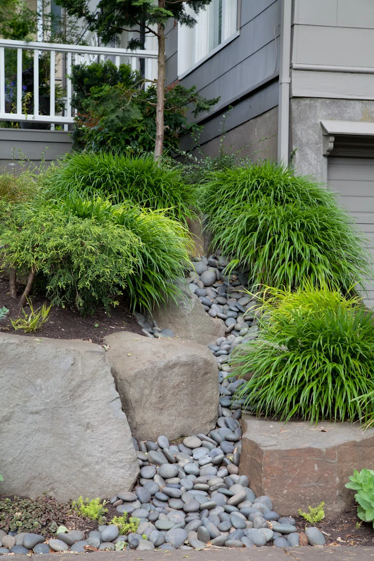 hakuna japanese grass