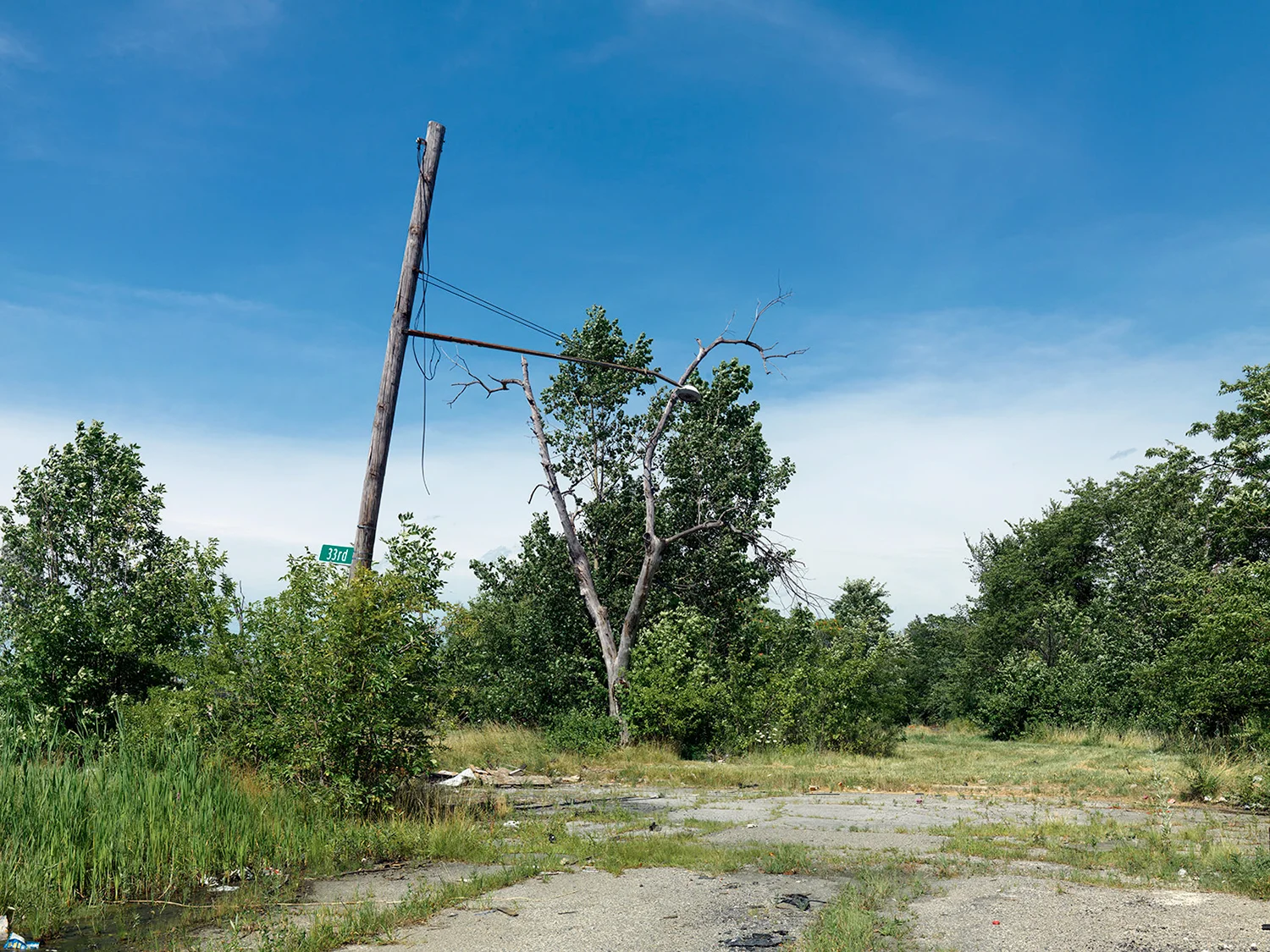 Corner-of-33rd-and-Edsel-Ford-W,-Detroit-2015_6589359.jpg