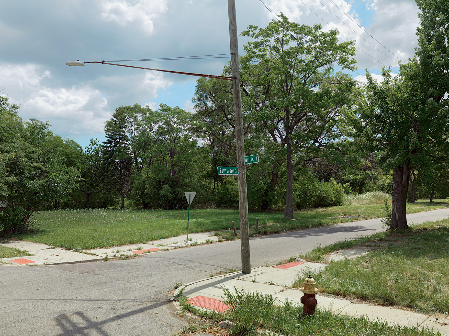 Corner-of-Elmwood-and-Willis,-Eastside,-Detroit-2015_6589723.jpg