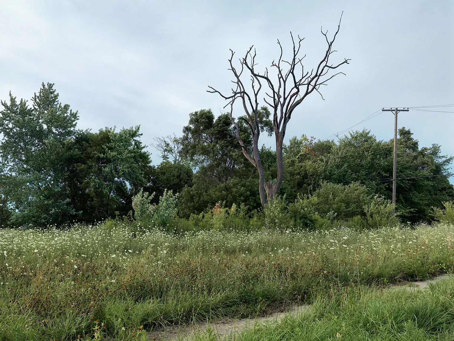Corner-of-Lambert-and-Field,-Eastside,-Detroit-2015_6589526.jpg
