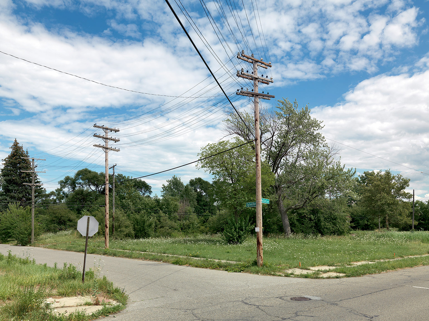 Corner-of-Sylvester-and-McClellan,-Detroit-2015_6589828.jpg
