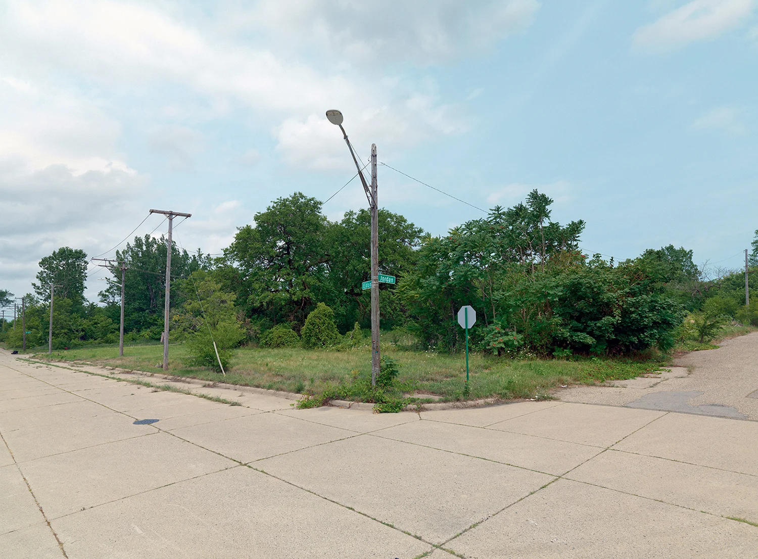 Corner,-Jordan-and-Eldon-St,-Eastside,-Detroit-2015_6590283.jpg