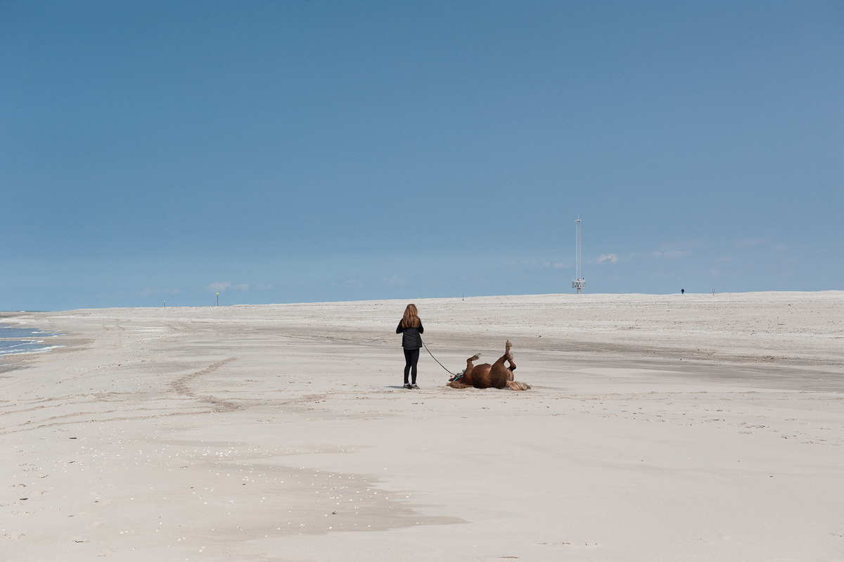 Sandmotor-03.jpg