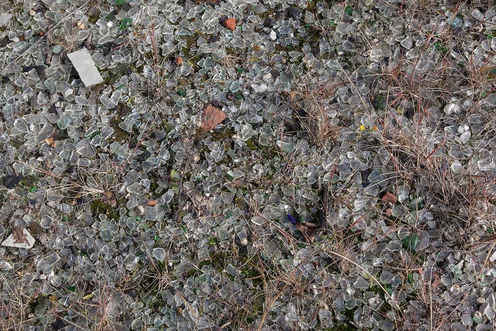 12.Field-Note.9599.jpg
