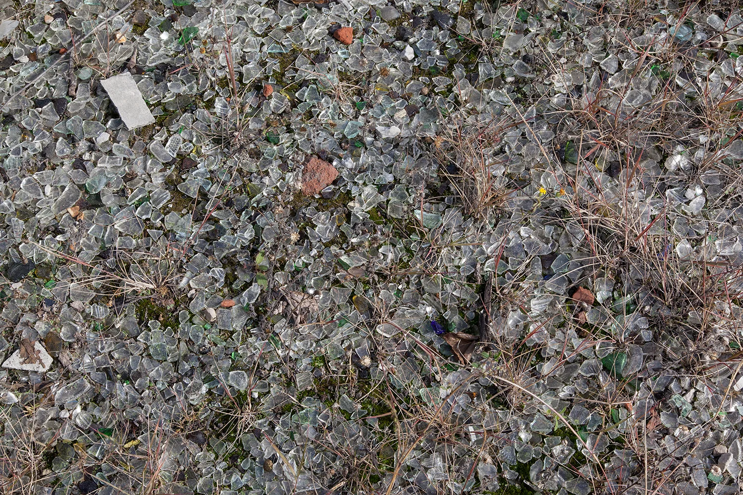 12.Field-Note.9599.jpg