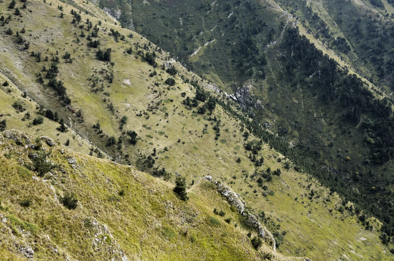 State_border_10.jpg