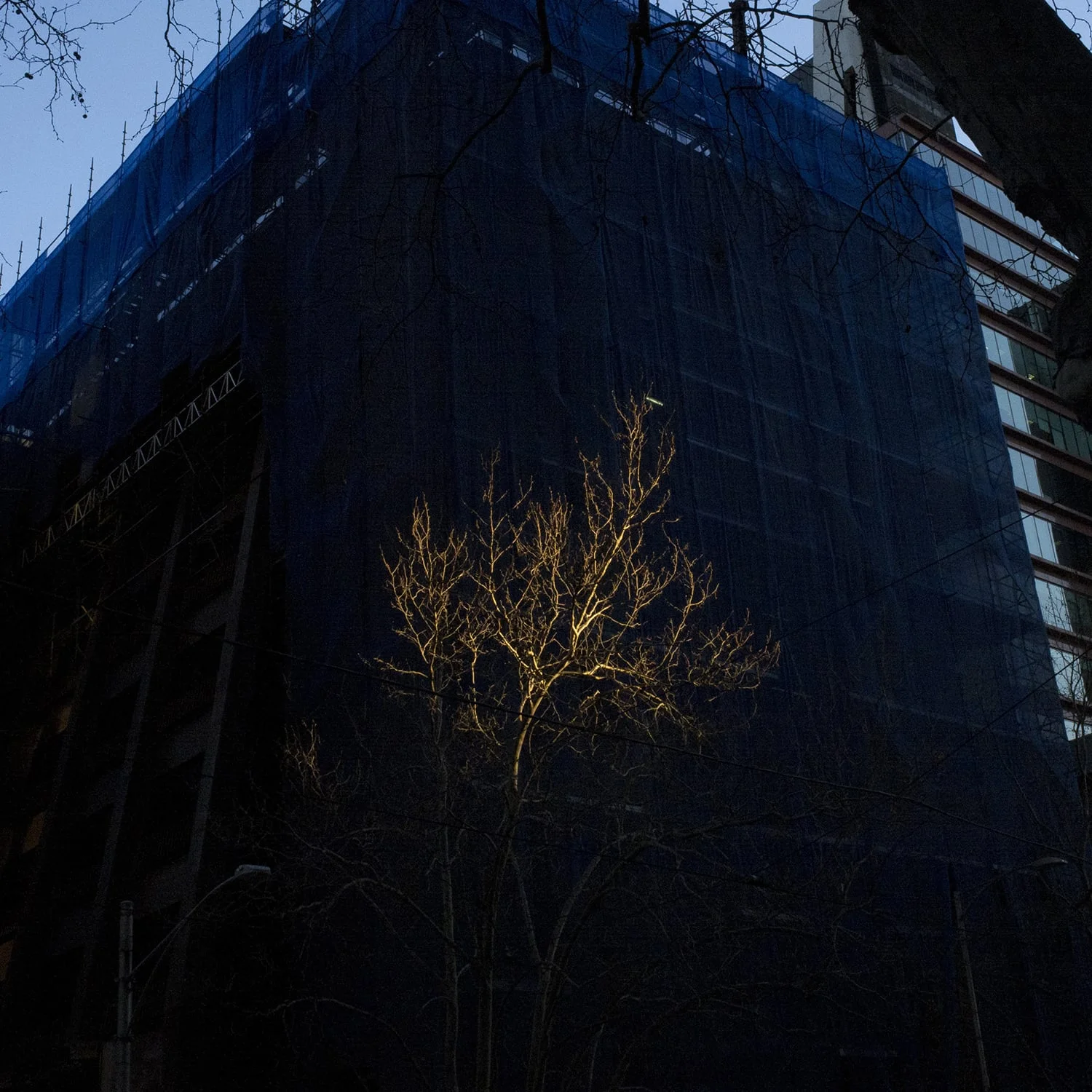 Untitled (Bourke Street), 2011