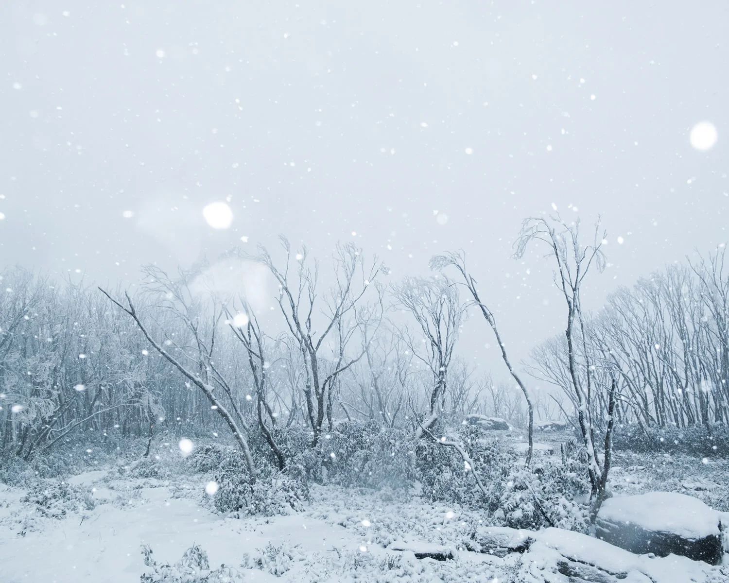 Katrin Koenning - Untitled