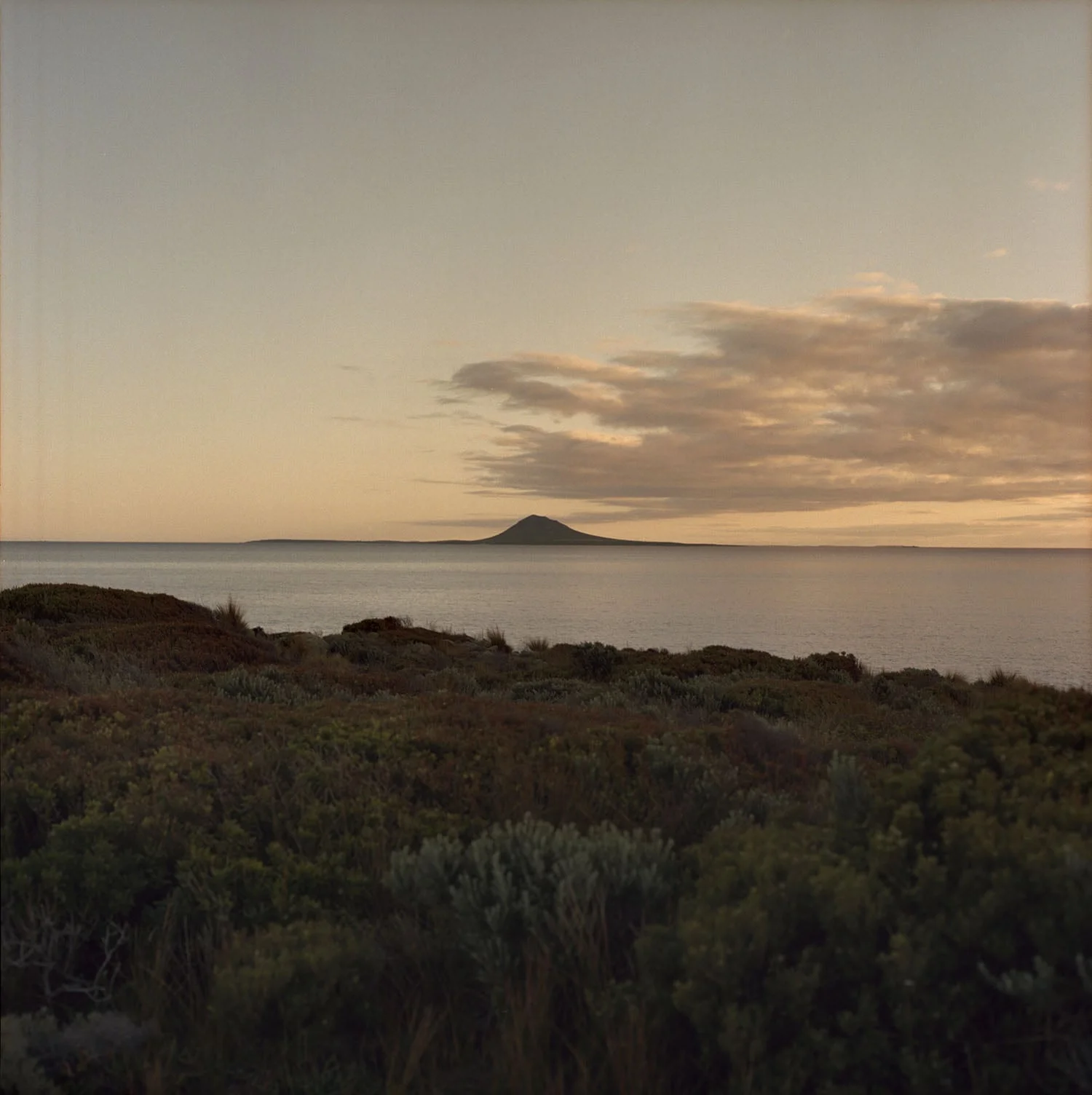 Alice Branch - Flinders Island #7 , 2015