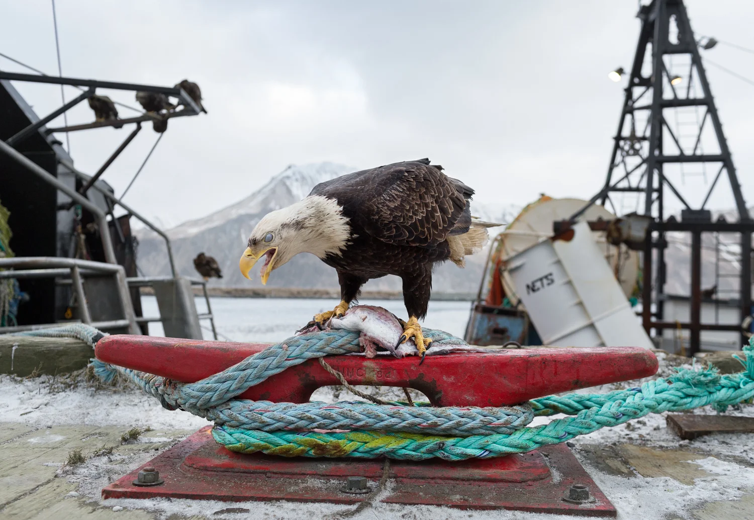 140211_Aleutians_31355_2_max.jpg