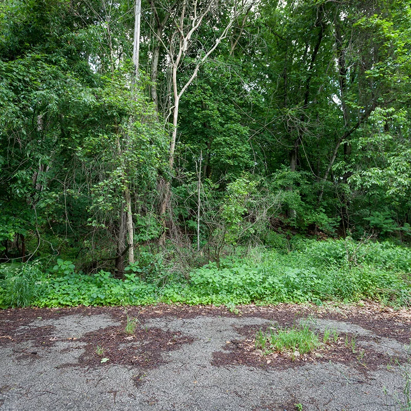 GPS_41°4'16- N 80°36'58- W-3.jpg