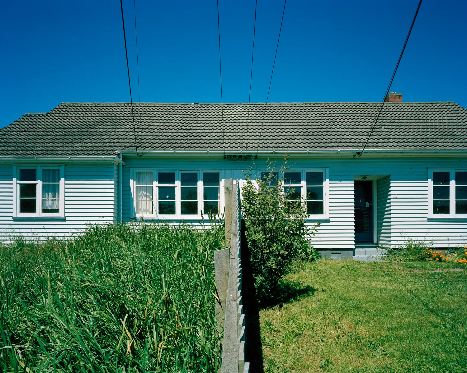 Image by: Tim Veling