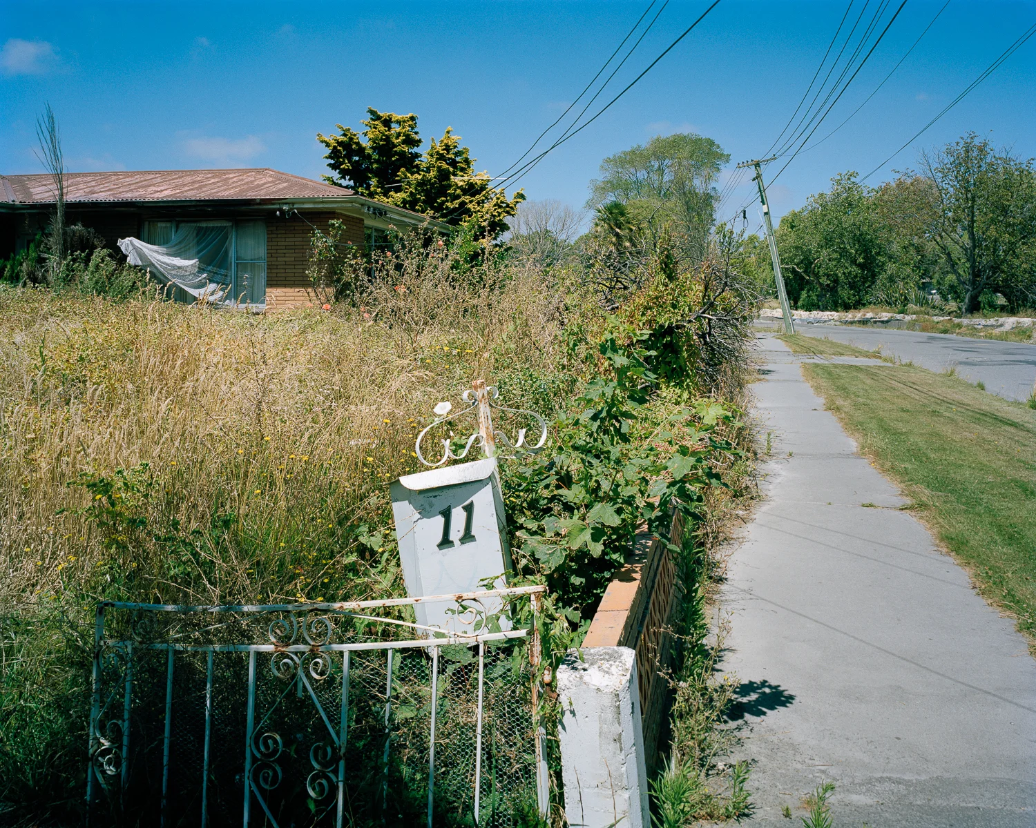 Image by: Tim Veling