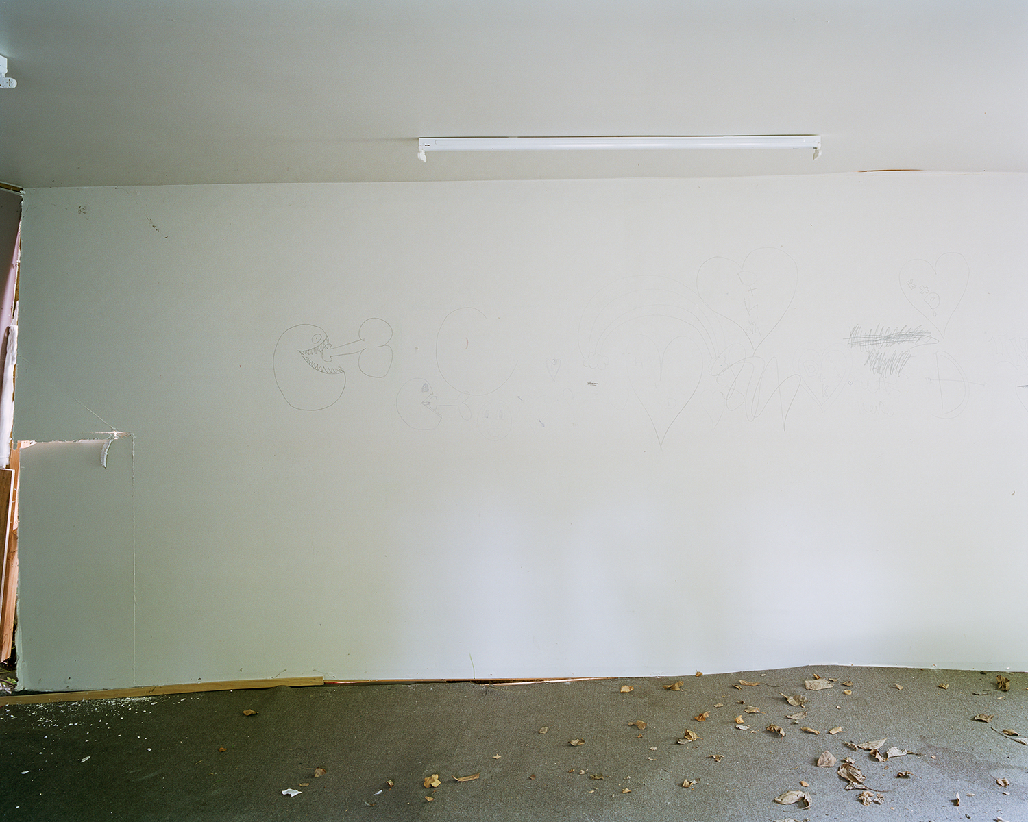 Image by: Tim Veling