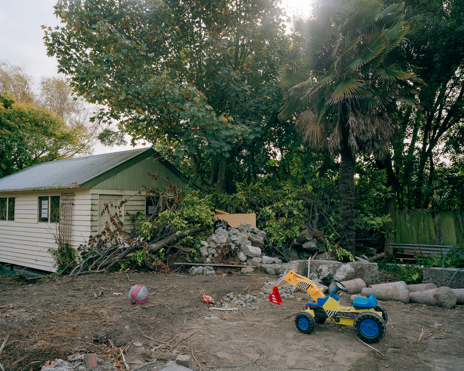 Image by: Tim Veling