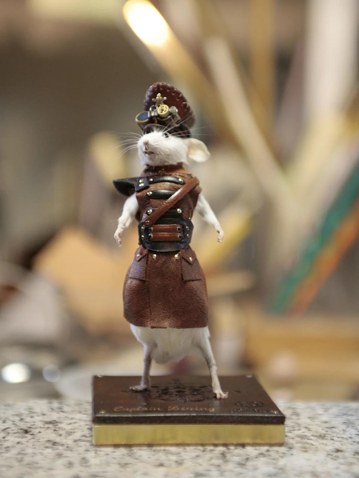 Captain Bering
