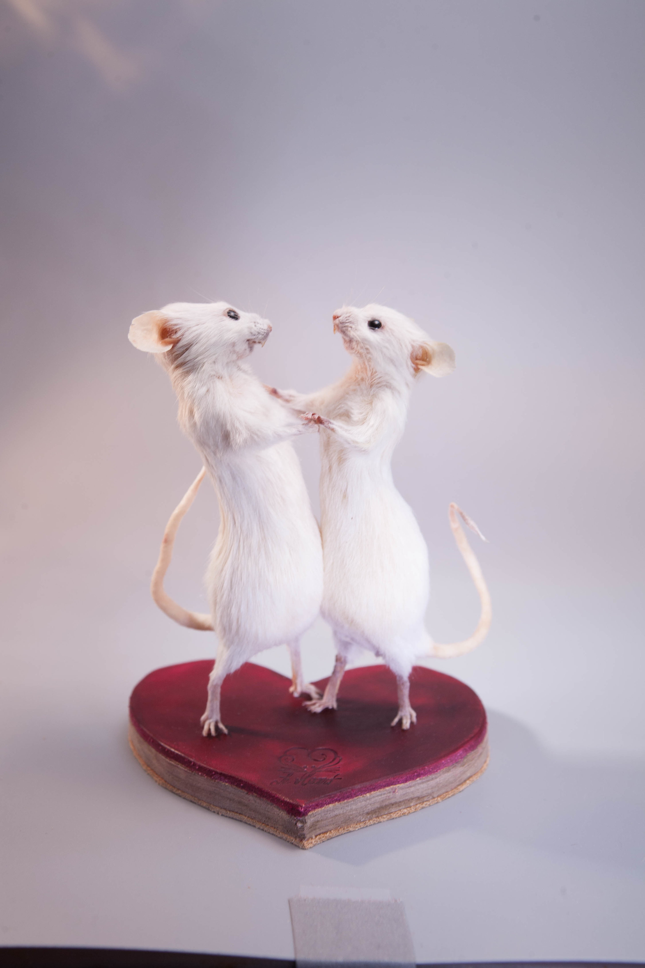  Taxidermy Mouse Tiny Dancers 