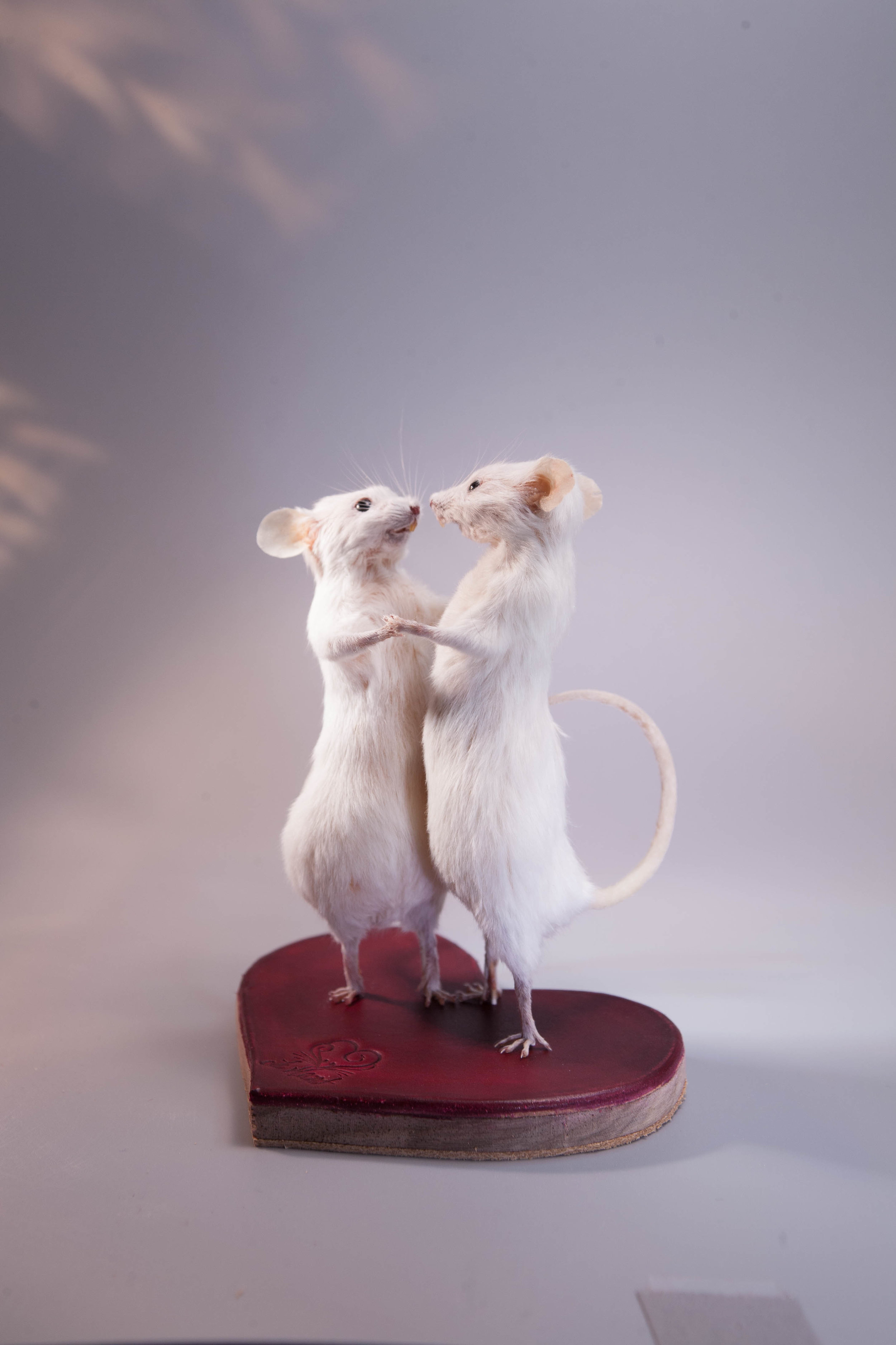  Taxidermy Mouse Tiny Dancers 