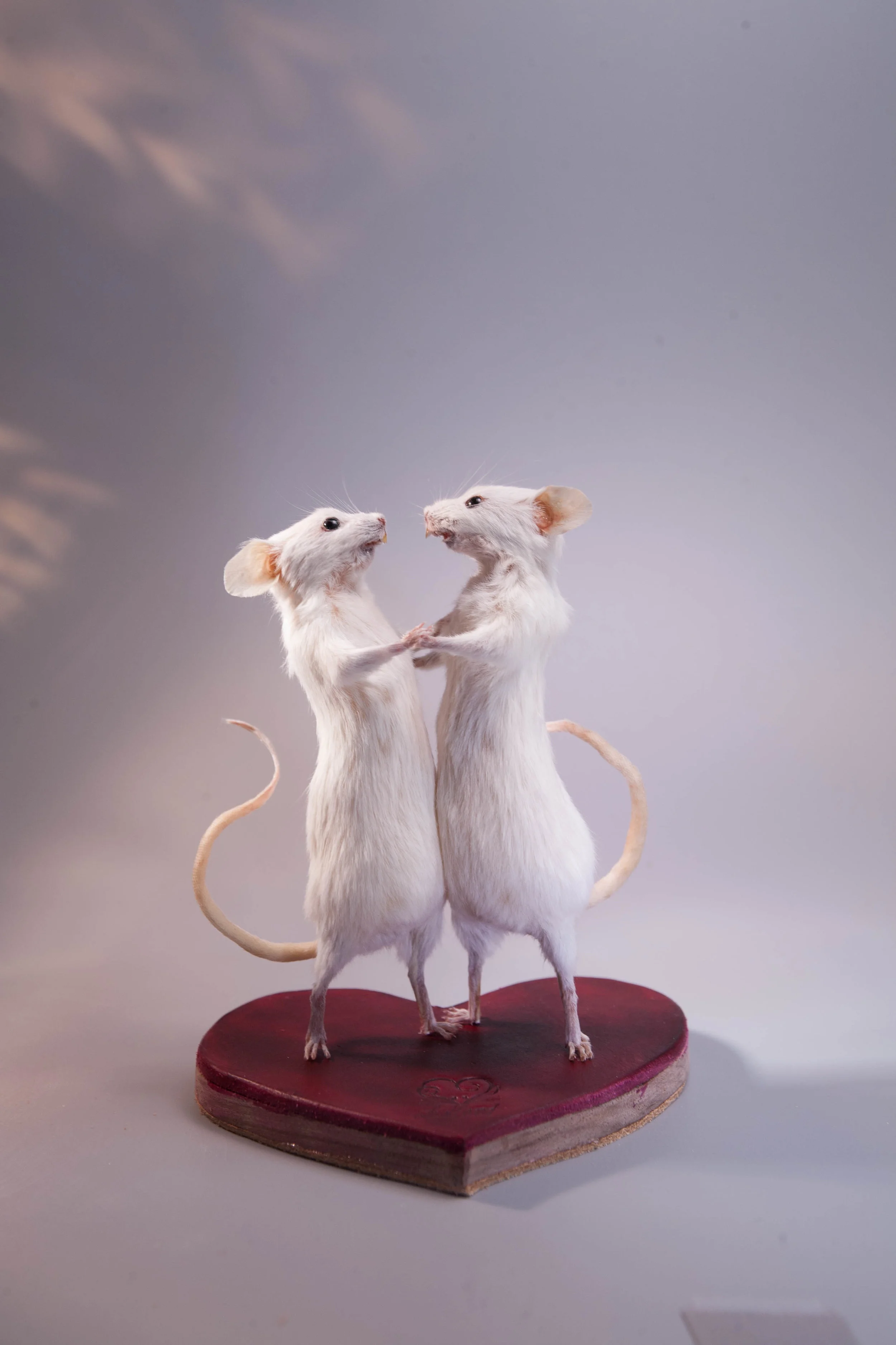  Taxidermy Mouse Tiny Dancers 