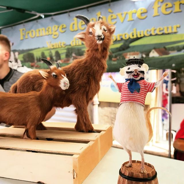 @henrisouris found new friends at the Saint Cyprien farmers market #dordogne #perigord #taxidermy #mouse #goat #cheese #farmersmarket #tinygoats #france #tourist