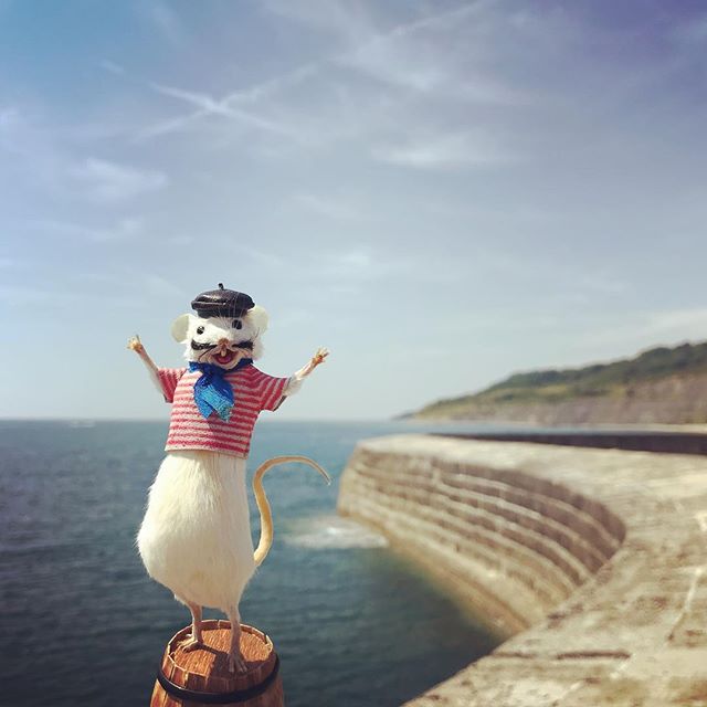 @henrisouris by the #cobb at #lymeregis  #england #mouse #taxidermy #tourism #merylstreep #thefrenchlieutenantswoman #curious