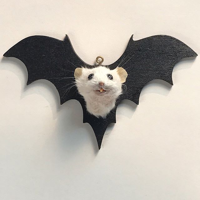 I know, but better late than never. Aren&rsquo;t they just perfect?? Grab one on Etsy while they last! #mouse #taxidermy #batwings #bat #halloween #whydidntithinkofitbefore
