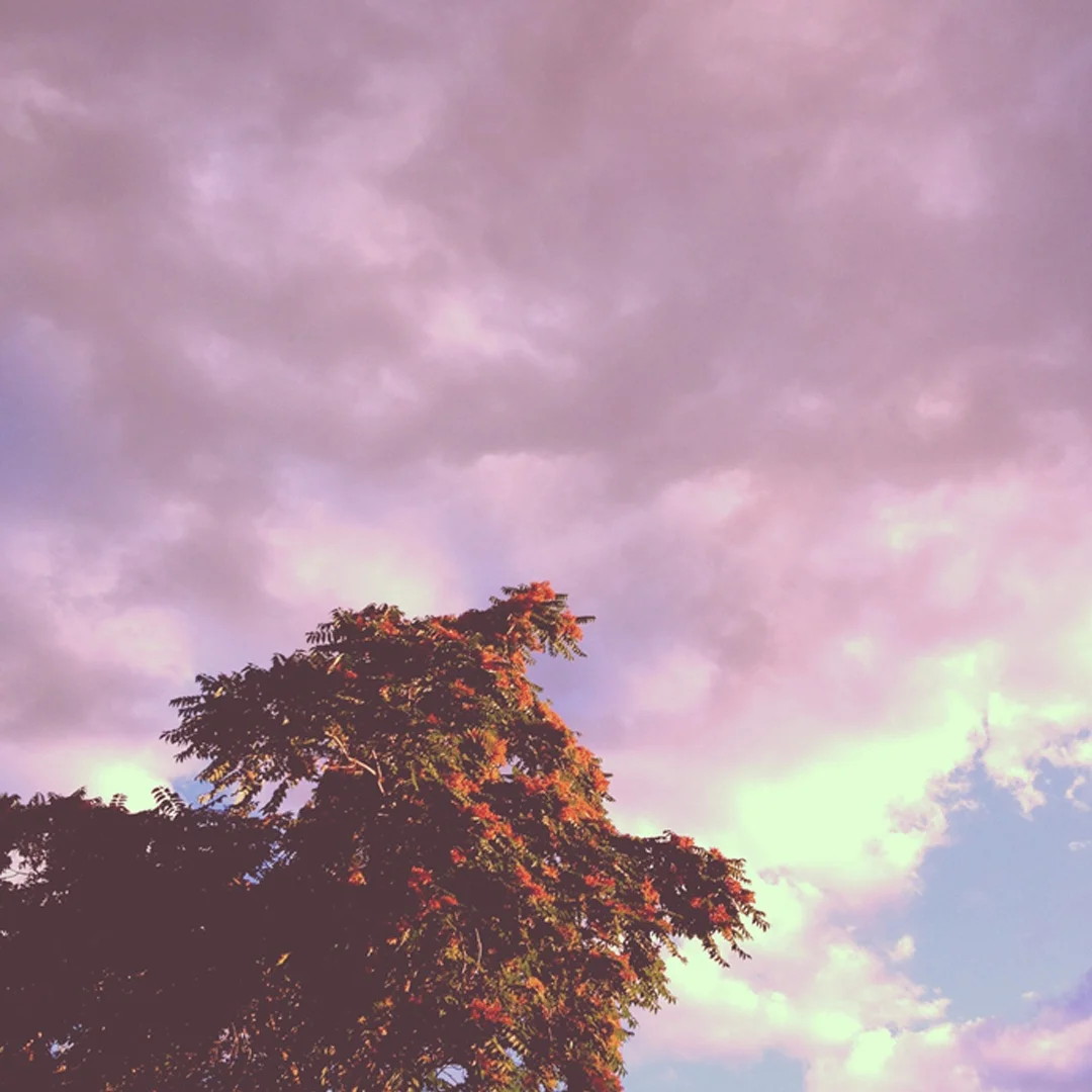 landscape #18.jpg