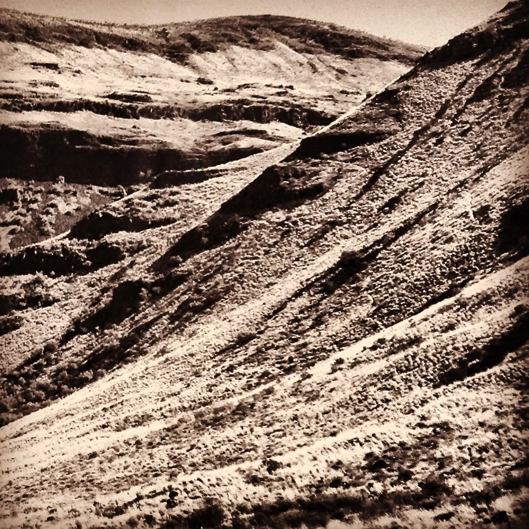 landscape #3.jpg