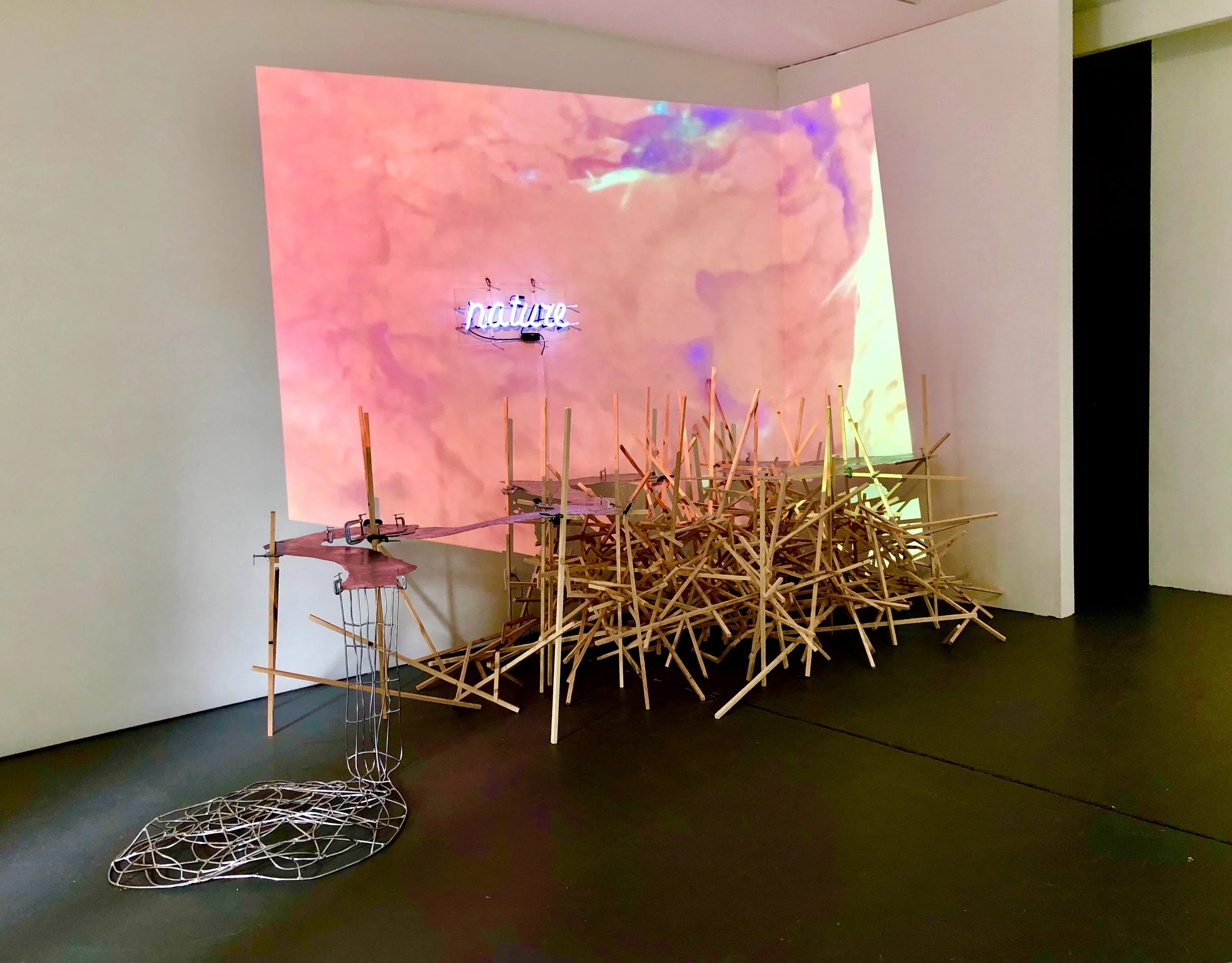 Acuff 1 Polyglot Plume.jpg