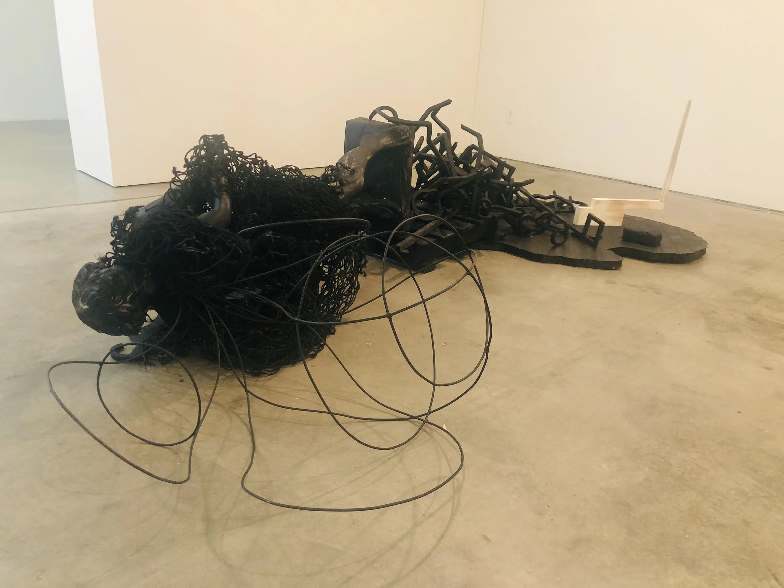 ATBIIE Carnation.jpeg