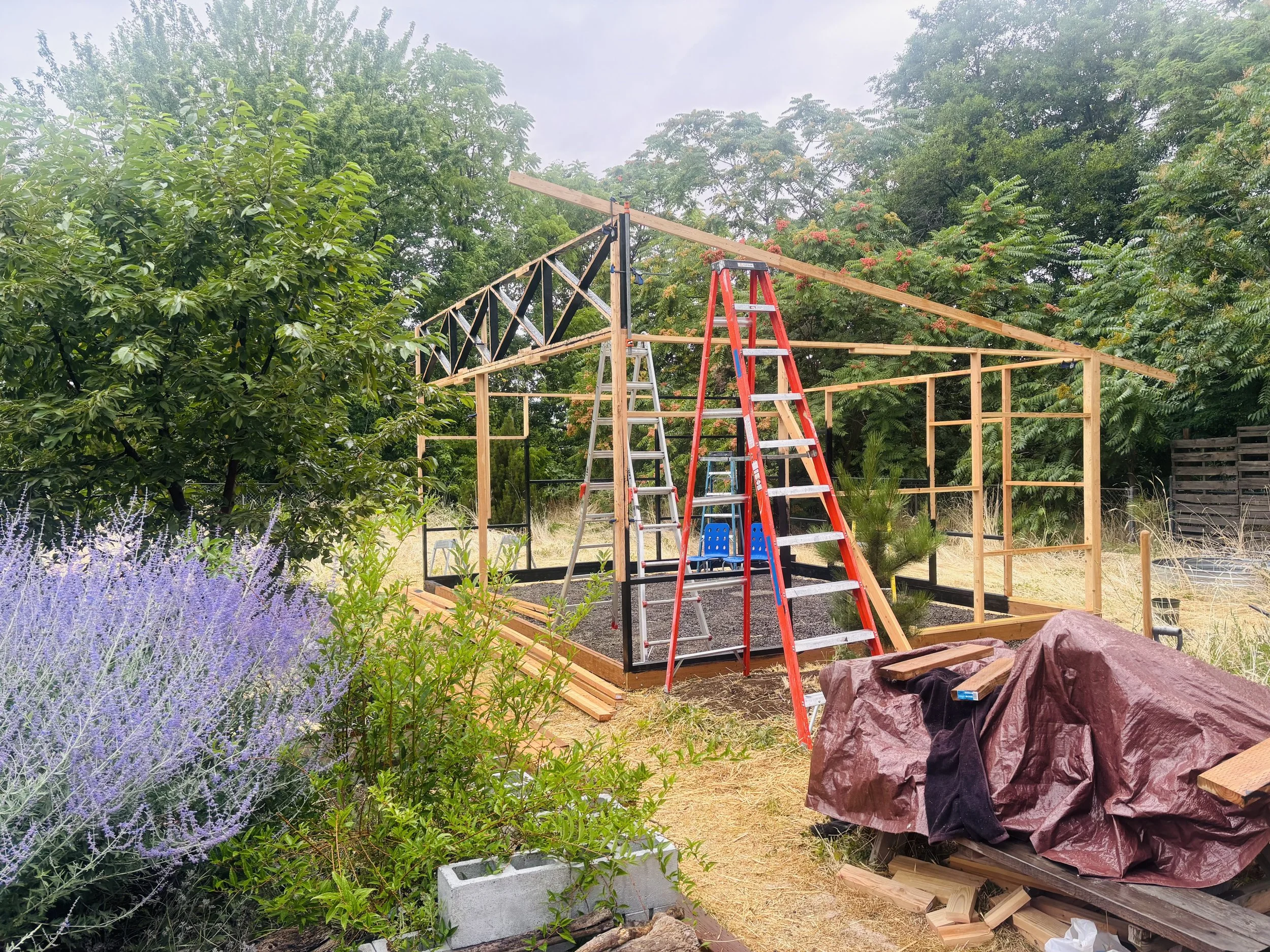 earth studio #2.jpeg