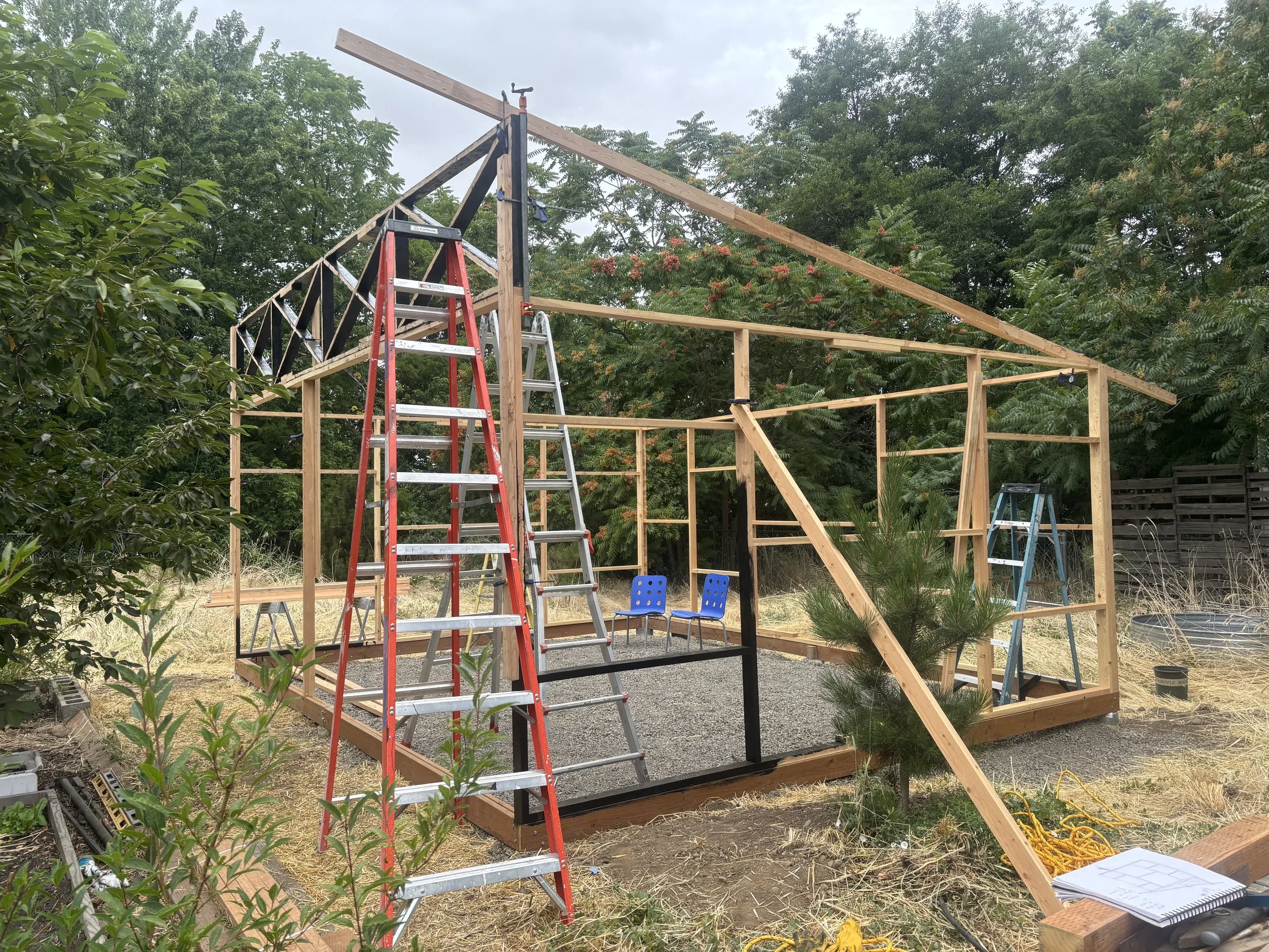 IMG_5666.jpeg