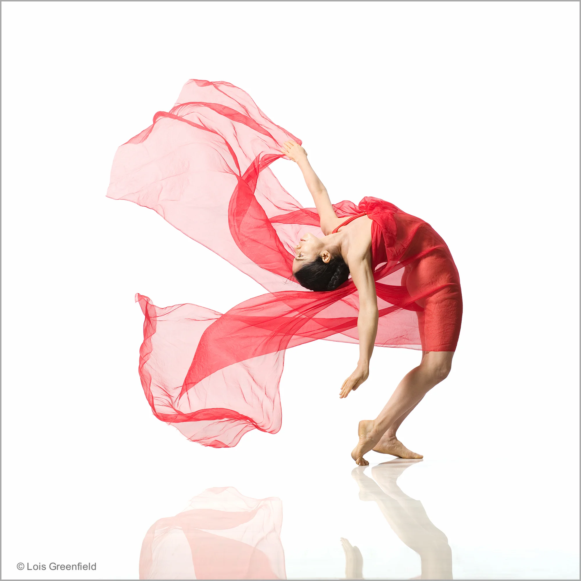 MAUREEN FLEMING, "The Immortal Rose"