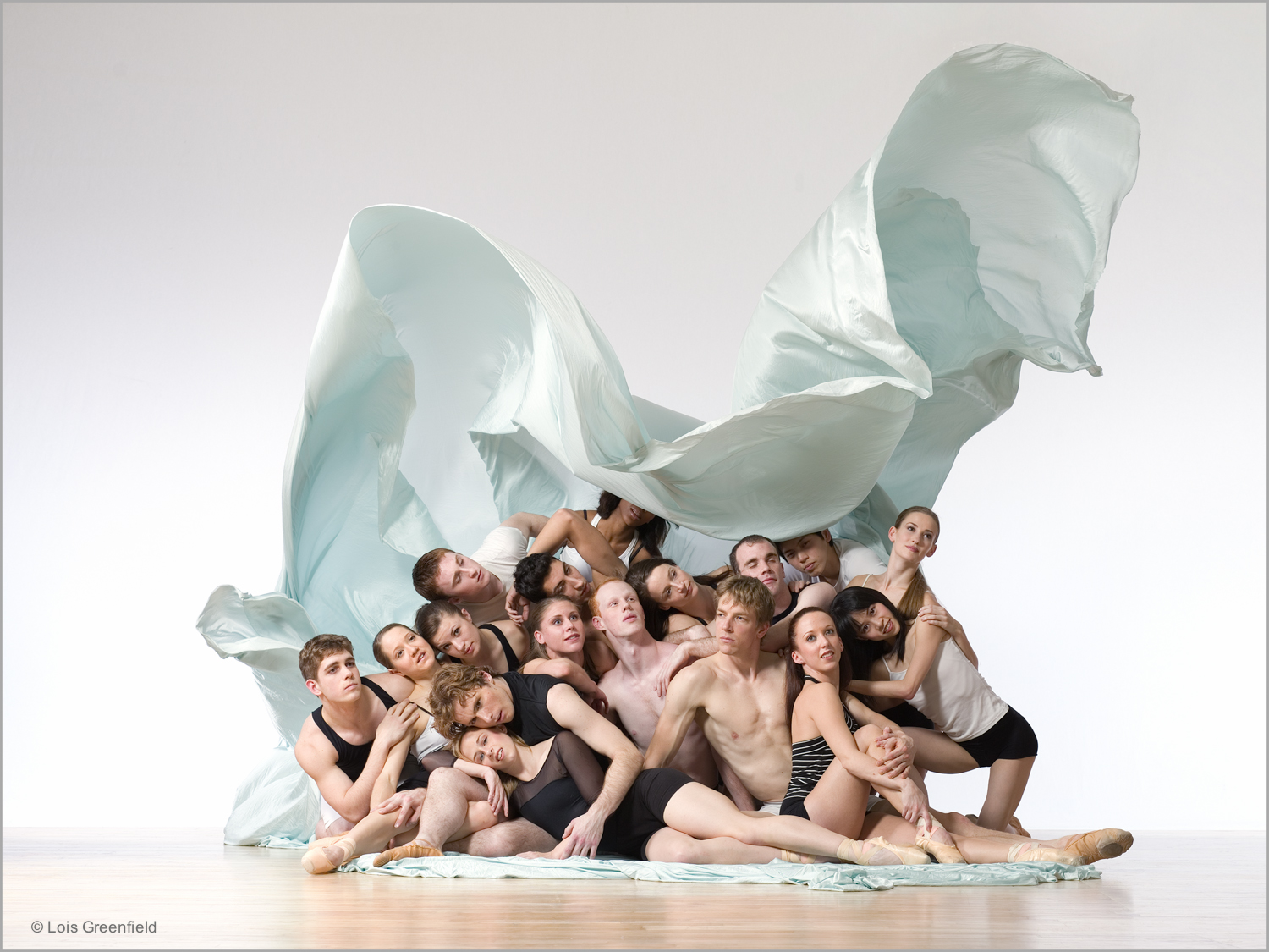 AMERICAN REPERTORY BALLET