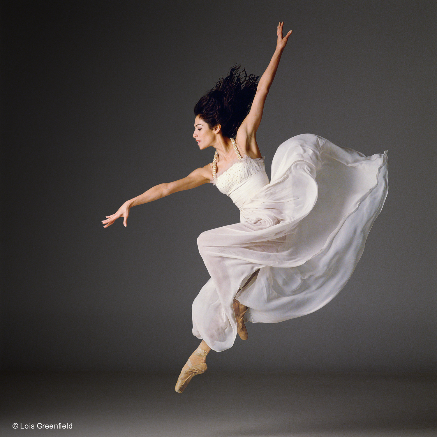 Песня летающего танца. Лоис Гринфилд. Lois Greenfield фотограф. Танец в полете. Пластика танцы.