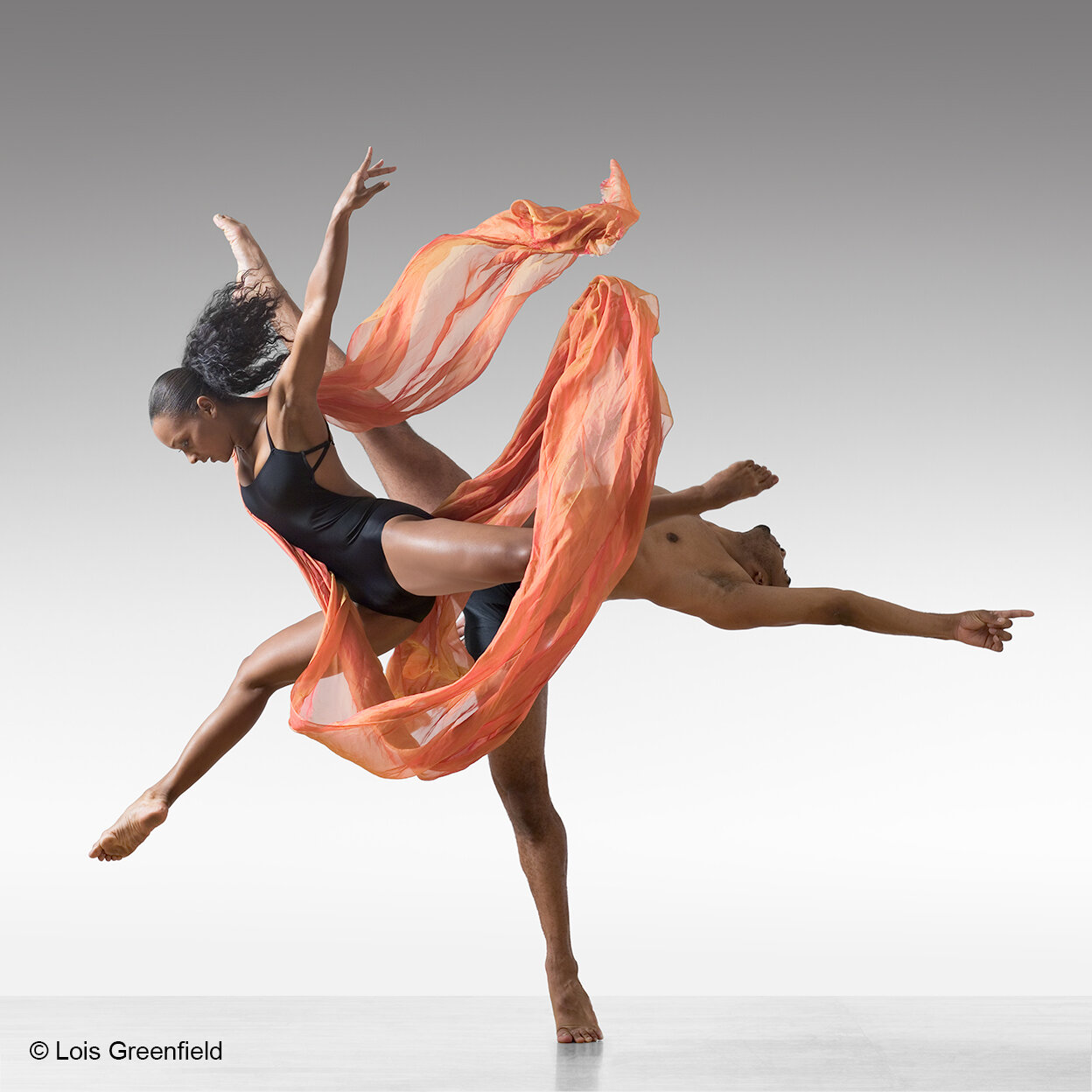 An amalgamation of limbs in motion, Candice Mon&eacute;t McCall and Anthony Burrell, formerly of Ballet Hispanico, create a puzzling duet in leaps and bounds. 

#CandiceMonetMcCall #AnthonyBurrell #LoisGreenfield #LoisGreenfieldMovingStill #dancephot