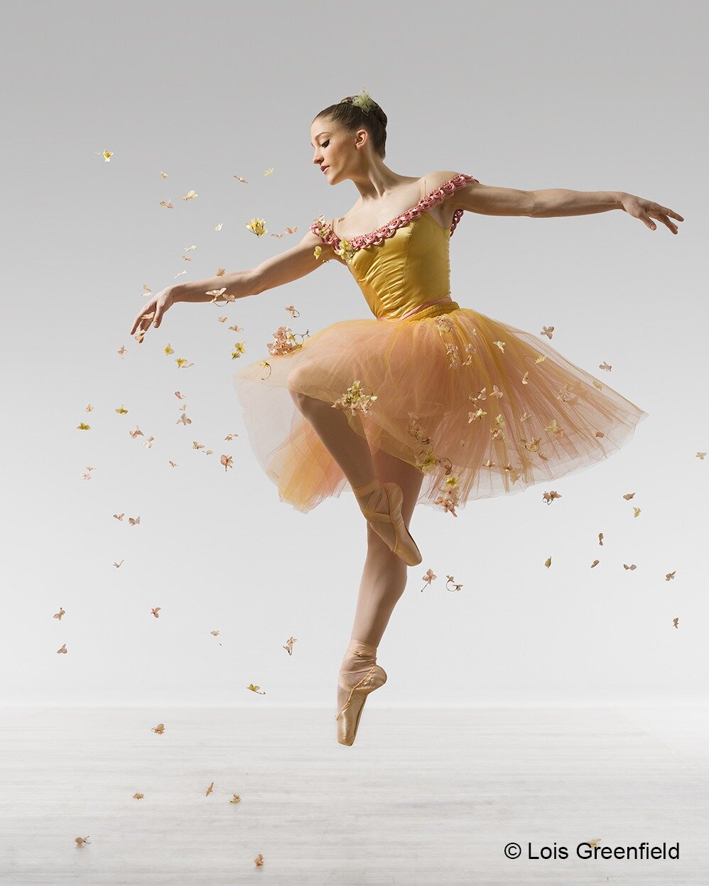 Ashley Bouder of New York City Ballet is thinking spring thoughts in a commercial photoshoot for Bunheads from 2008 🌸 
 
#AshleyBouder #NYCBallet #NewYorkCityBallet #Bunheads #commercialphotography #LoisGreenfield #dancephotography #dancephotographe