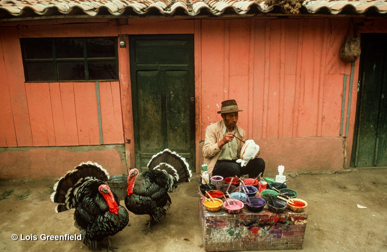 Painter with Turkeys, Bolivia