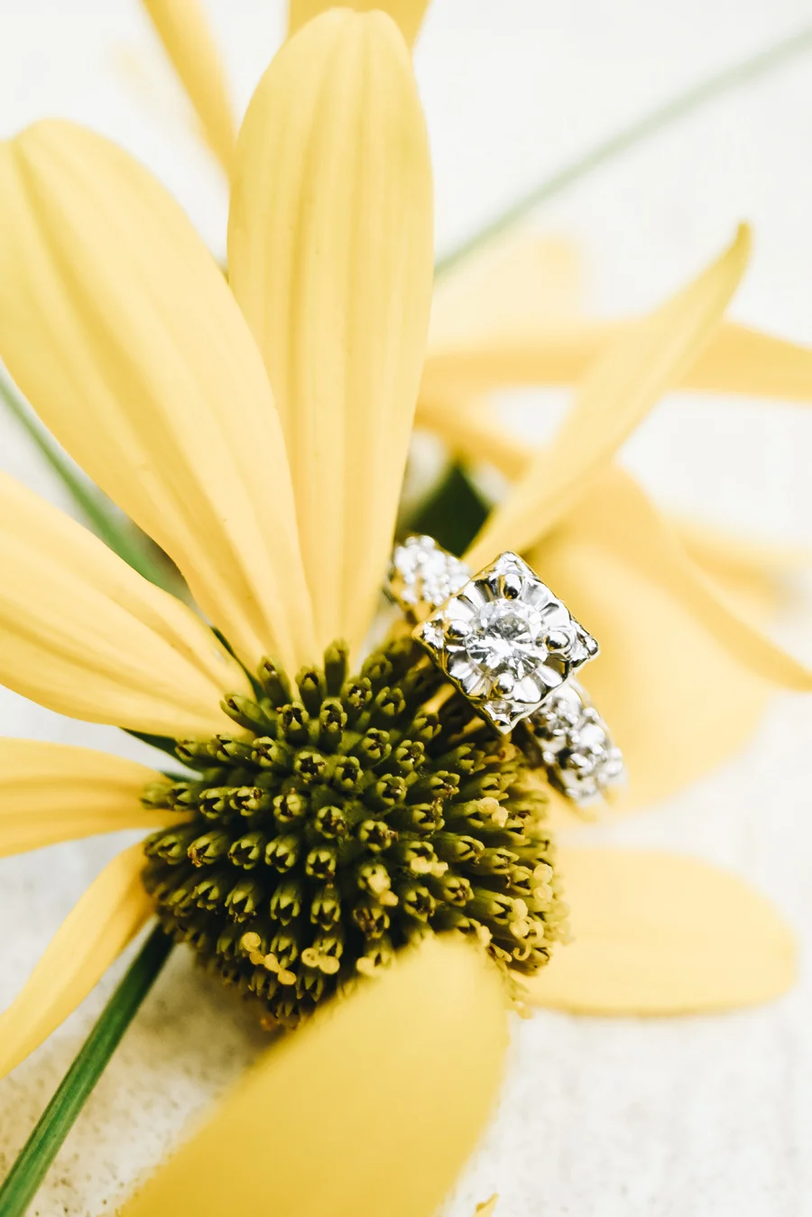 KrisandraEvans.com | Atlanta Engagement Photographer | Vines Botanical Garden