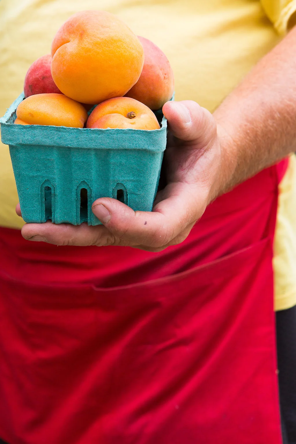 2015_southloop_farmersmarket_lowres-001.jpg