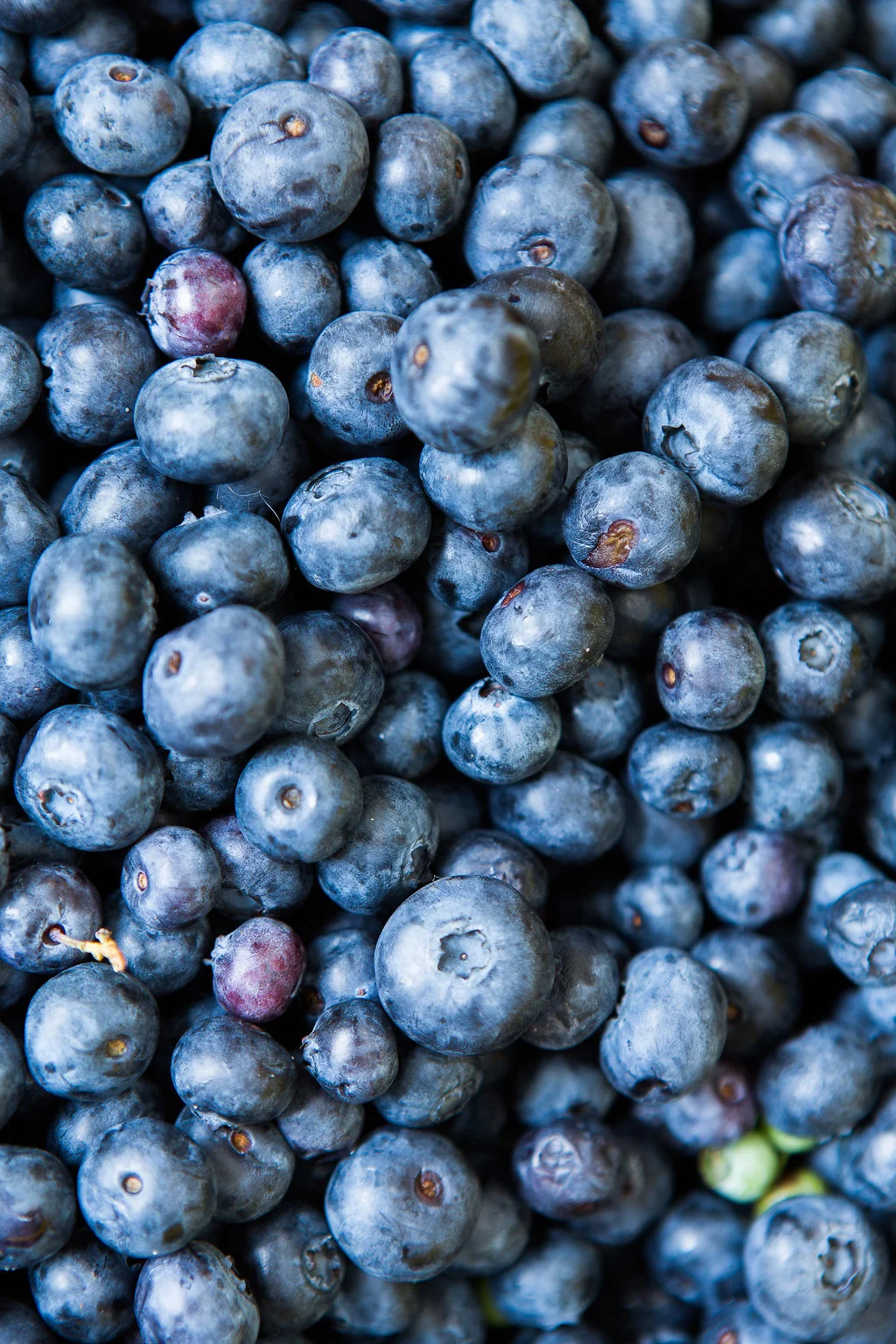 2015_southloop_farmersmarket_lowres-003.jpg