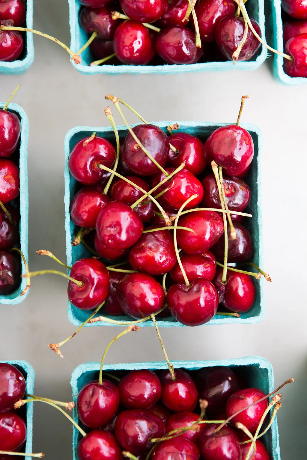 2015_southloop_farmersmarket_lowres-011.jpg