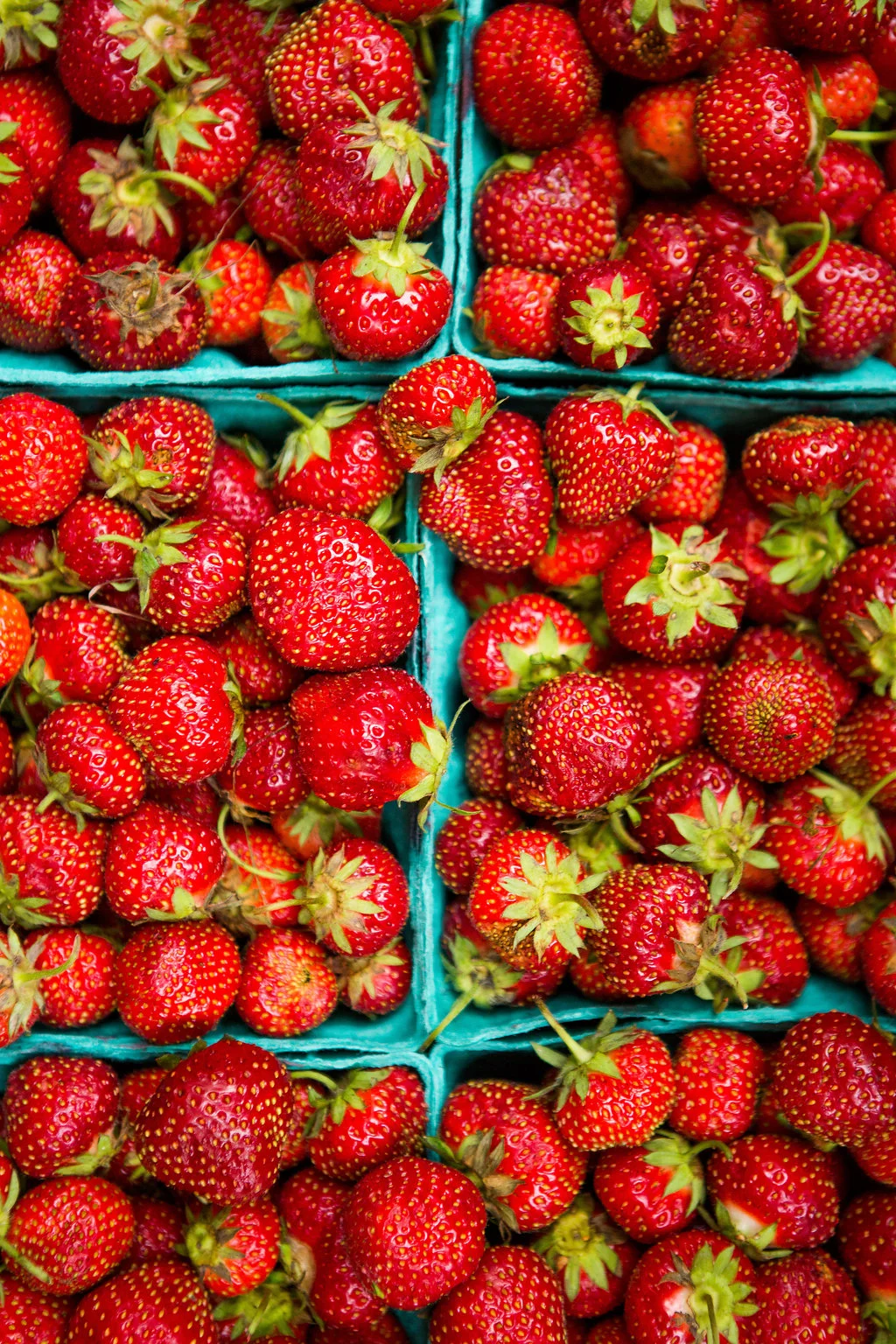 2015_southloop_farmersmarket_lowres-017.jpg