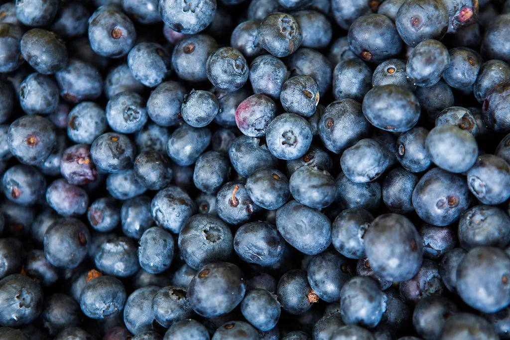2015_southloop_farmersmarket_lowres-042.jpg