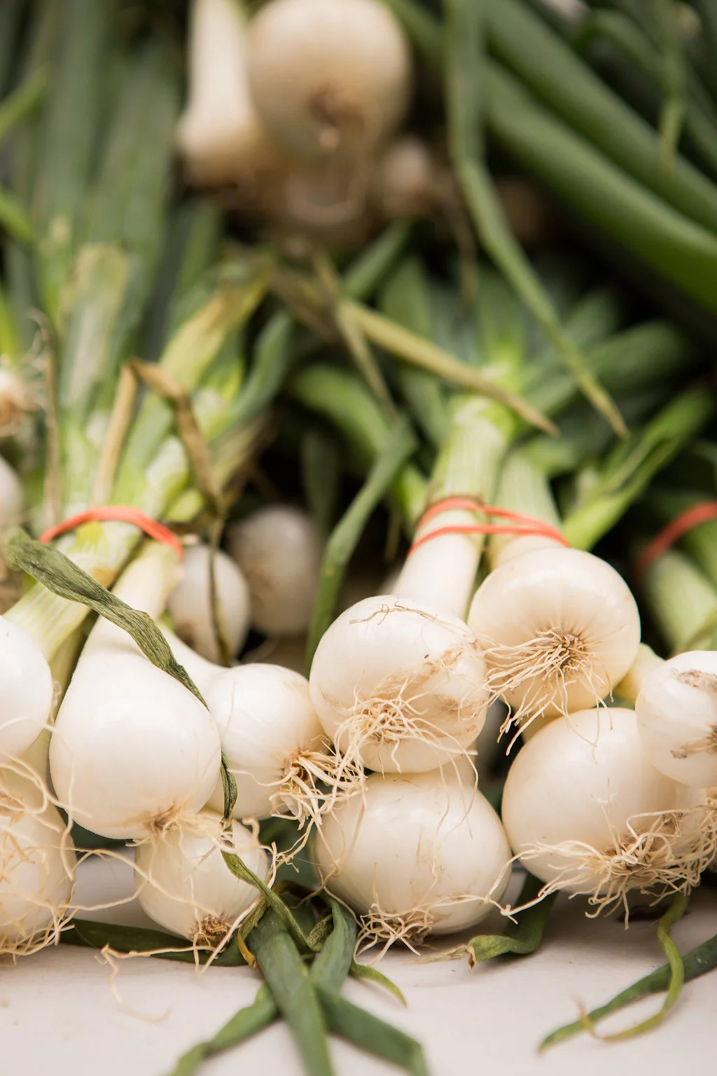 2015_southloop_farmersmarket_lowres-079.jpg