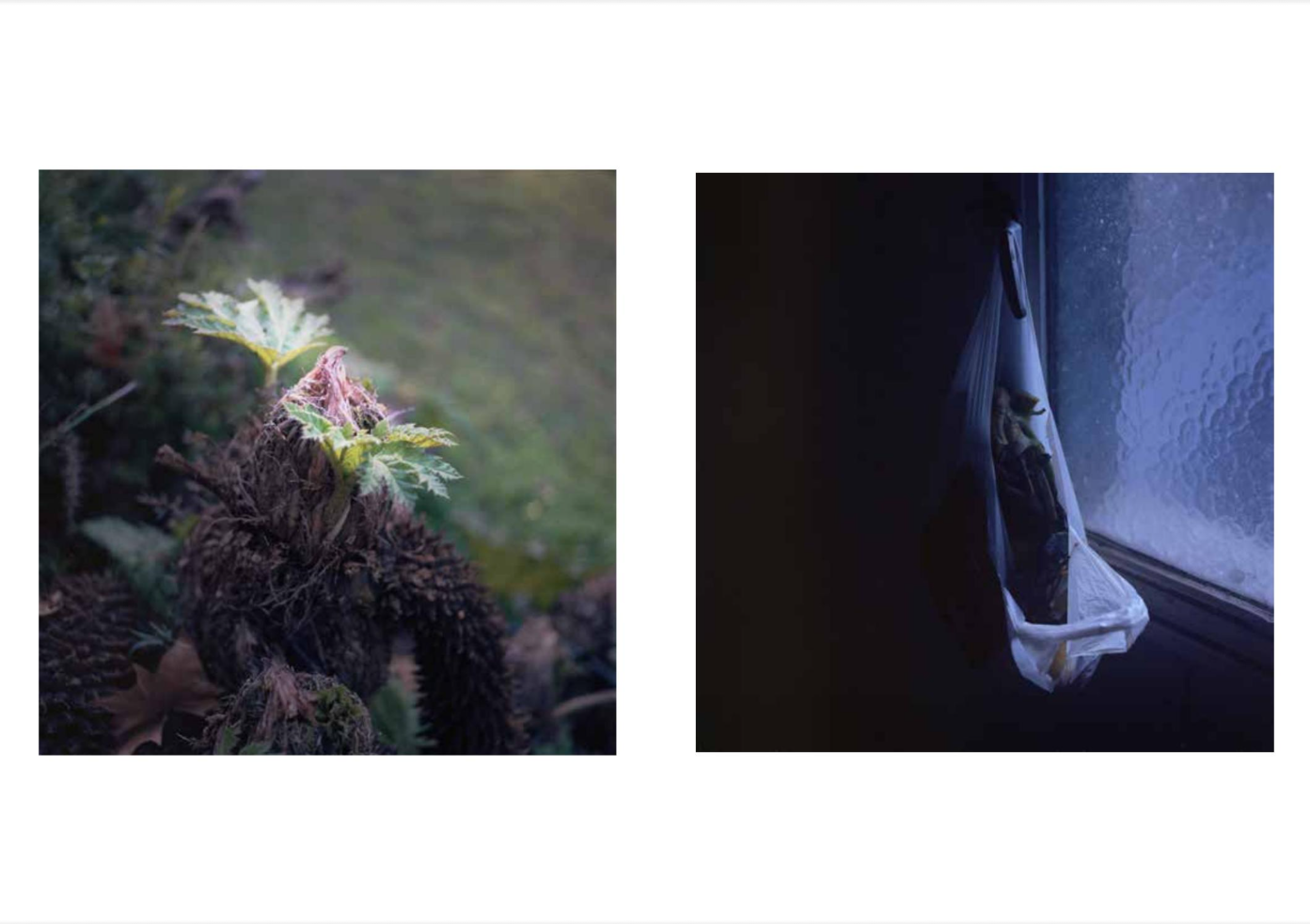 Screen Shot 2016-12-15 at 2.46.01 PM.png