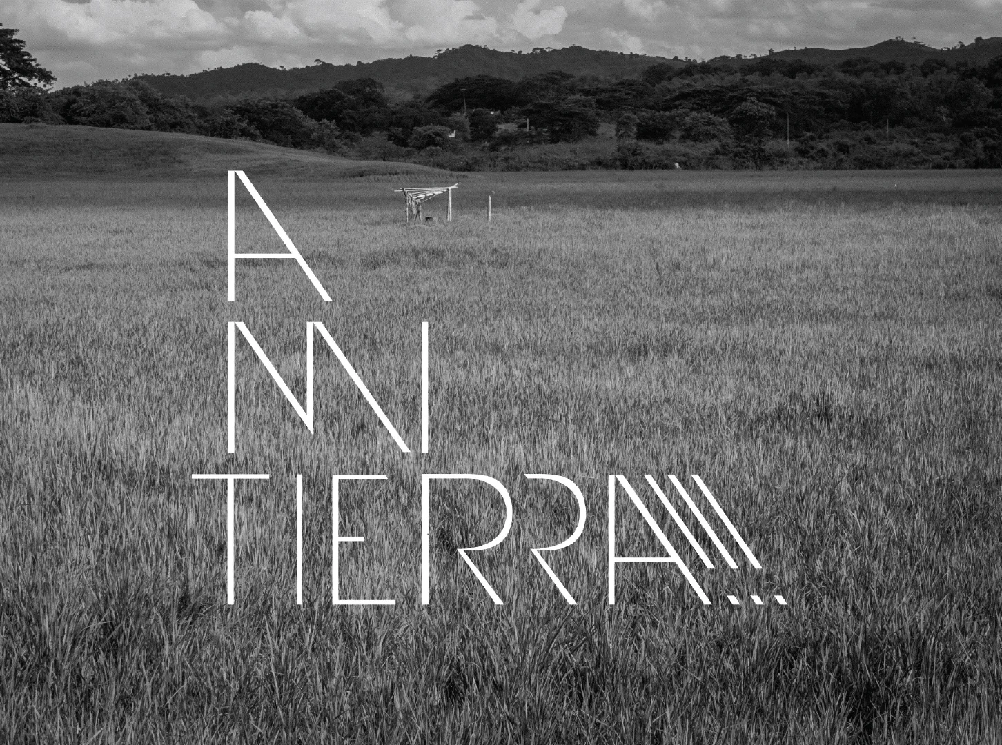 Alatierra001.jpg